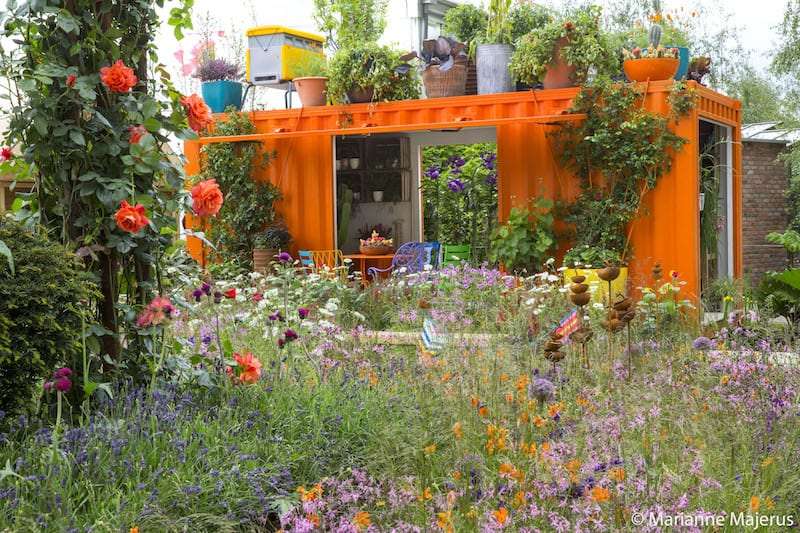 Show garden orange container studio with cactus roof and naturalistic planting