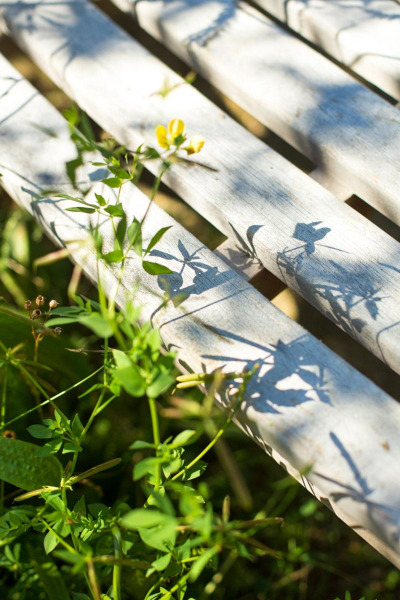 Detail of wooden bench