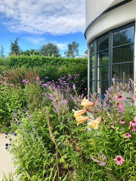 Lilies and echinaceas