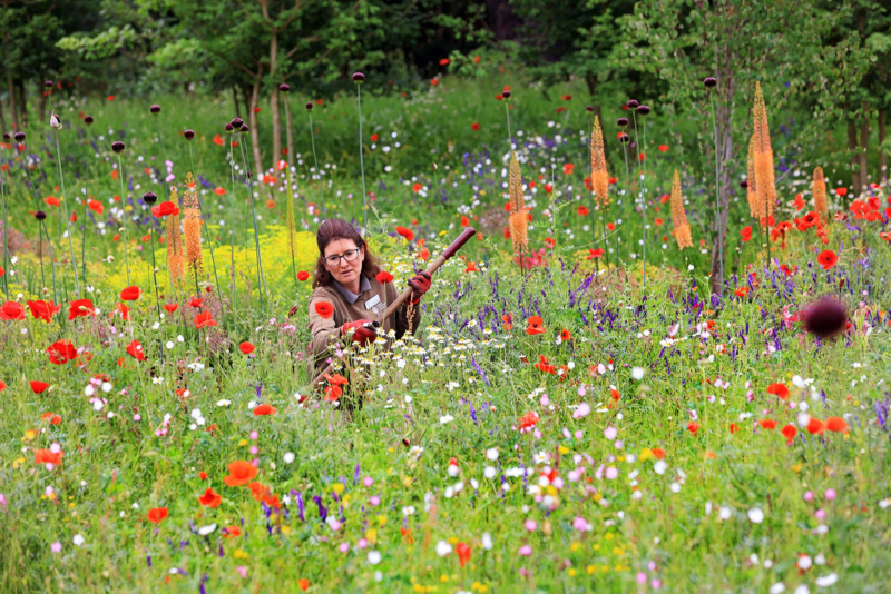 RHS Hilltop prepares to open at RHS Garden Wisley, Surrey - 22 June 2021