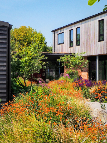 Orange et purple flower beds