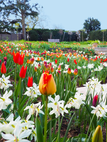 Country-Cottage-Garden-06