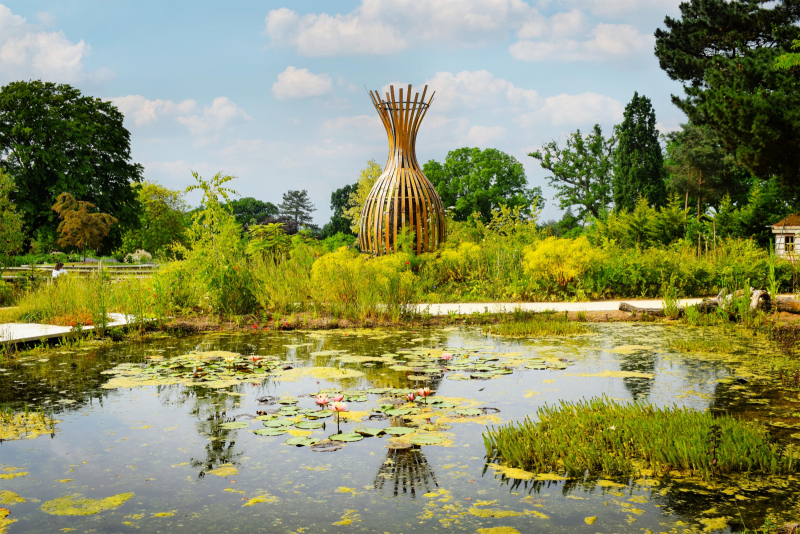 Wildlife pond and surrounding planting