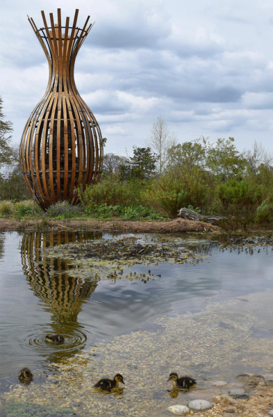 Details of the wildlife pond