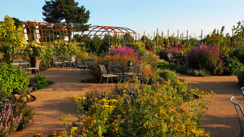 Overview of coffee tables and arches
