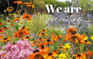 Ann-Marie Powell Gardens Jobs garden designers landscape architects
