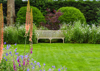 Lawn and bench with large colourful flower borders - Hampshire, designed by Ann-Marie Powell, 2024