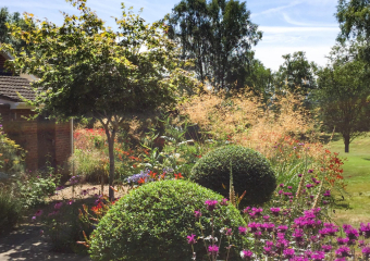 Bold, colourful and biodiverse garden design designed by Ann- Marie Powell, UK 2017