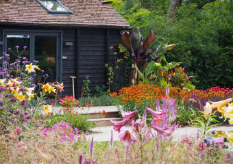 Explosion of colour in the garden - Contemporary Courtyard Garden designed by Ann- Marie Powell, UK 2020 