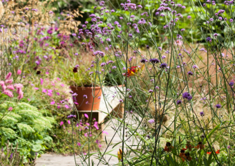 Overgrown pathway - Rustic style garden designed by Ann- Marie Powell, Hampshire, UK 2009