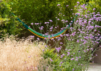 Relaxing area nestled in vegetation - Sloping style garden in Hampshire, designed by Ann- Marie Powell, July ,UK 2009
