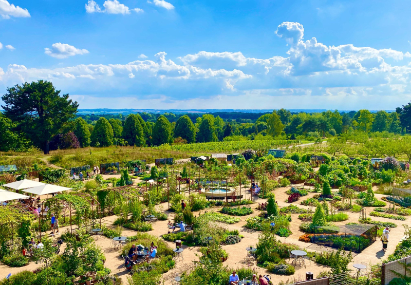 Bird's-eye view of the world food garden RHS Wisley, Surrey designed by Ann-Marie Powell Gardens